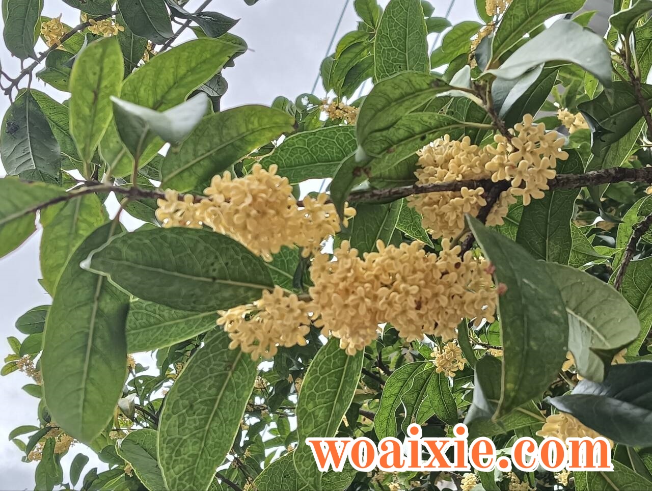 4CB0EA1B63F4F7C492E6B58DAA973D1C