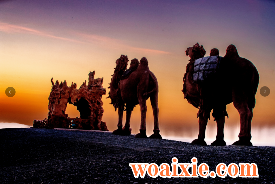 4CDA83B81E71653C9885FD2642274ABE