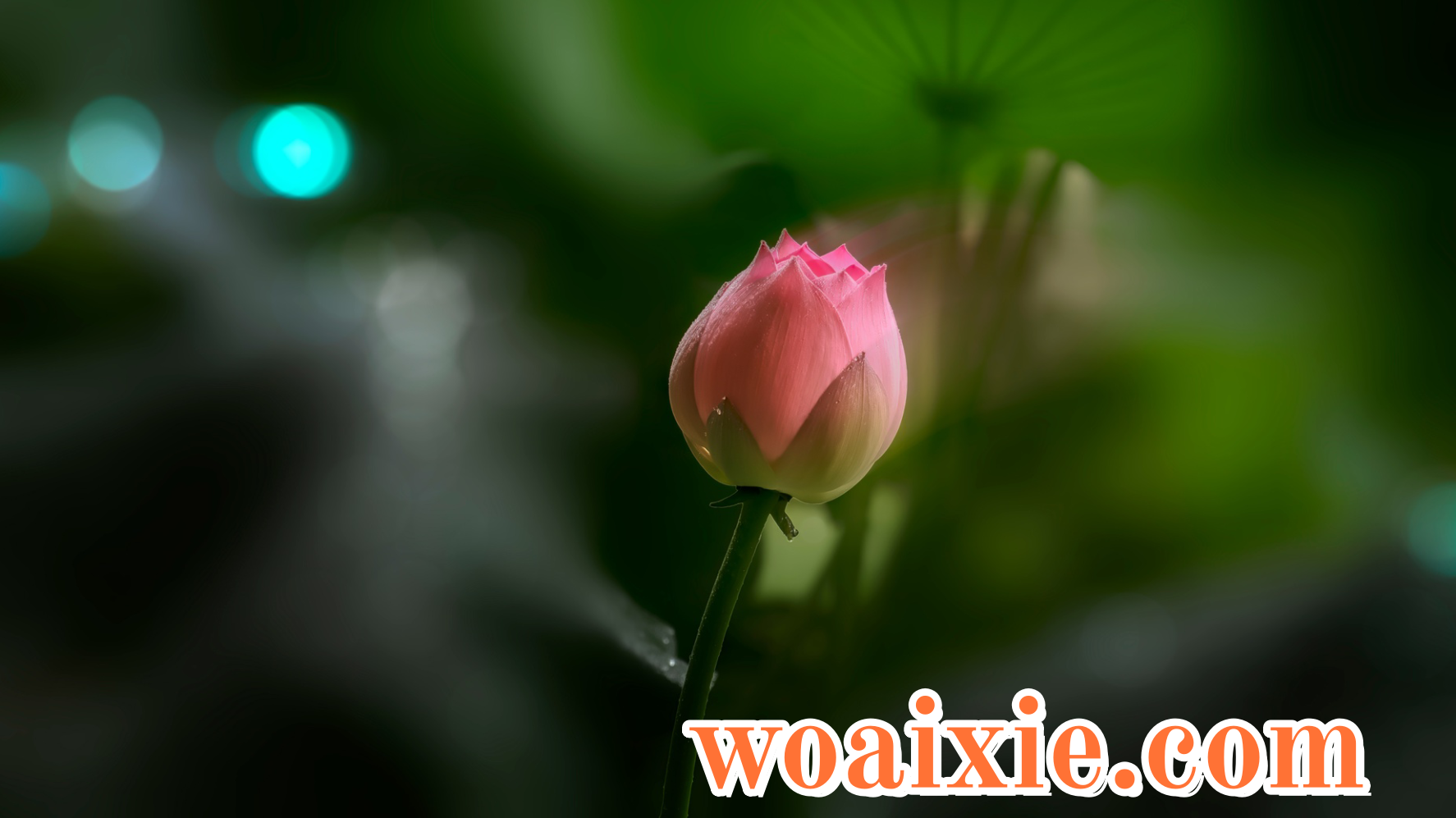 4D20BECE082104AC86E9AC7BA414EA6E