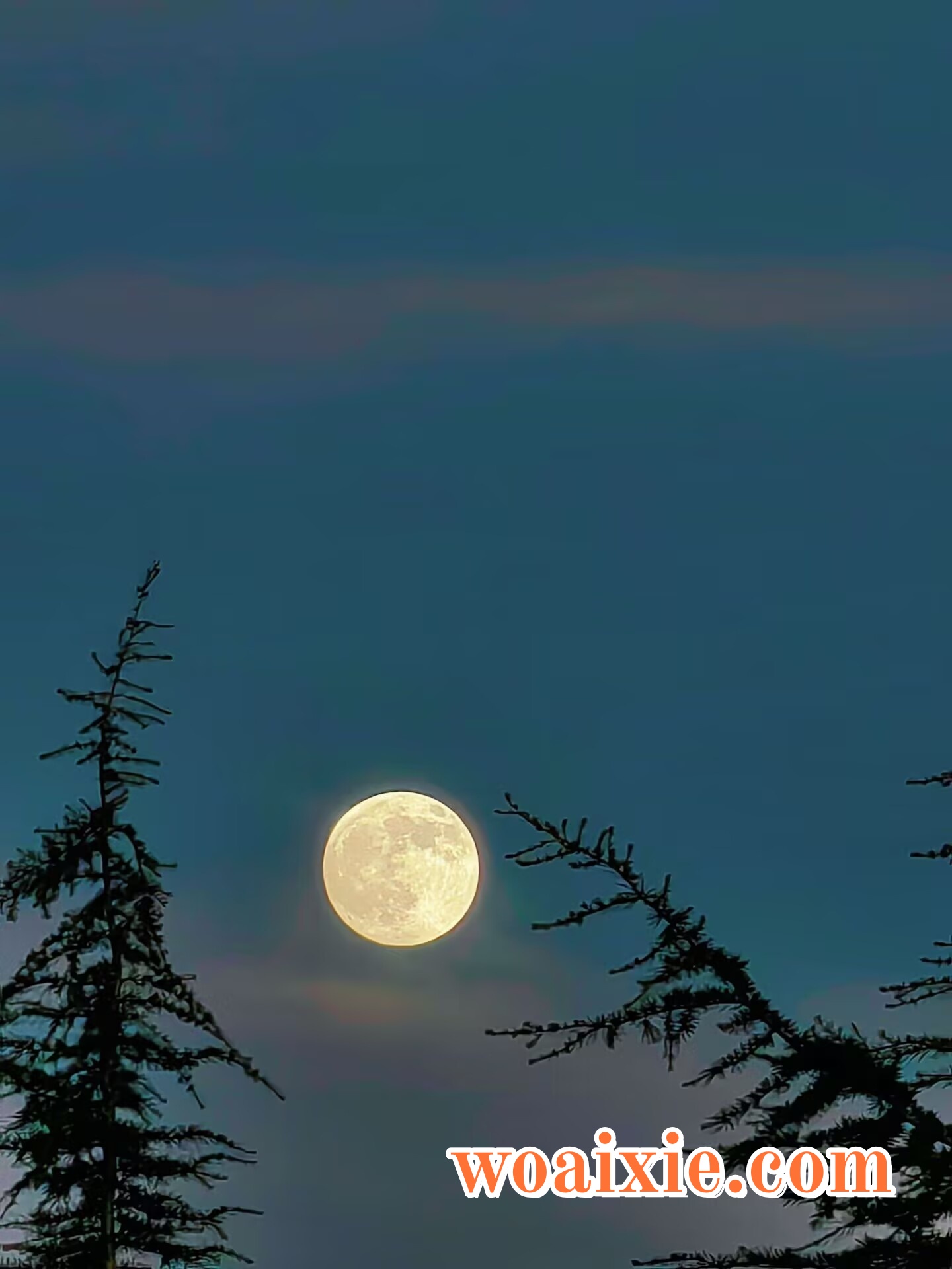 4EAAE6B8783A6ABA94B179B12262E86F